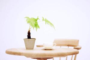 インプラスの価格完全ガイド！施工内容や選び方のポイントを徹底解説