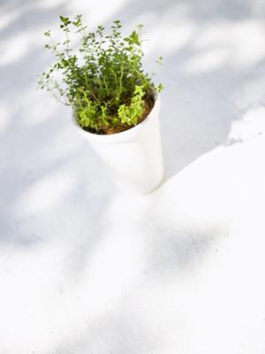 浴室ドアの交換を専門に扱う会社