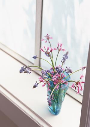 神奈川県横浜市にあるタカラスタンダード横浜ショールームの魅力と詳細情報