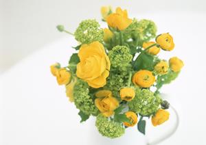 理想のシアタールームを作るなら