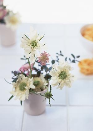 専門店ならではの知識で行なう家具買取