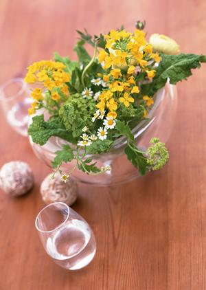 おしゃれなロータイプベッドで部屋を飾ろう