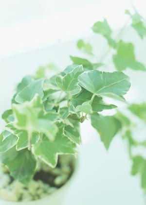 名古屋駅前に位置するタカラスタンダードのショールームの詳細と魅力